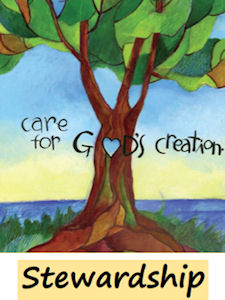 Stewardship